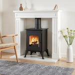 Freestanding 5kw High Efficiency Wood Burning Stove Fireplace