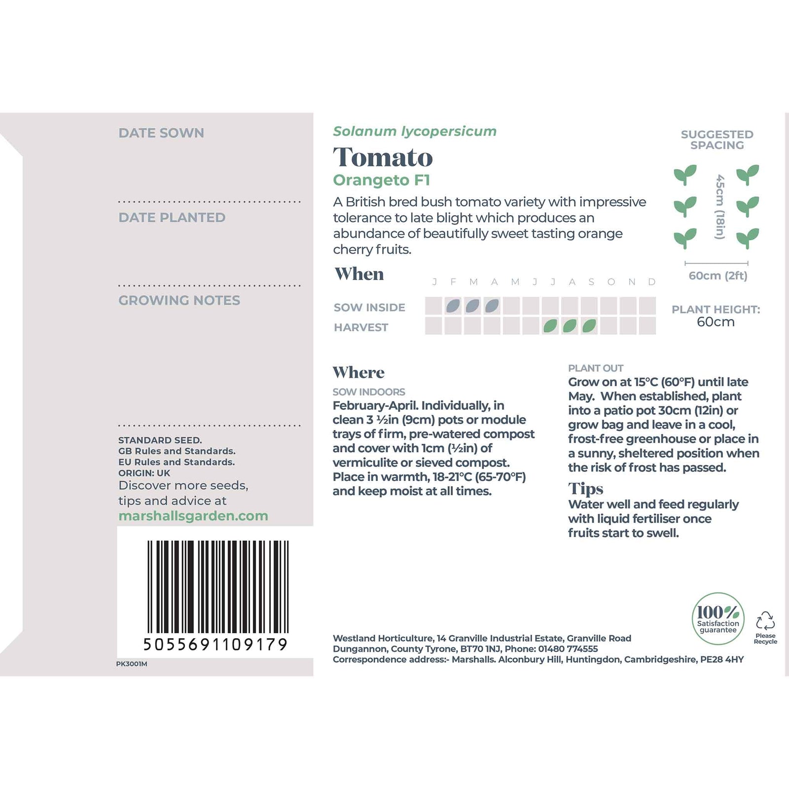 Tomato Seeds Orangeto F1 | 8 Seeds