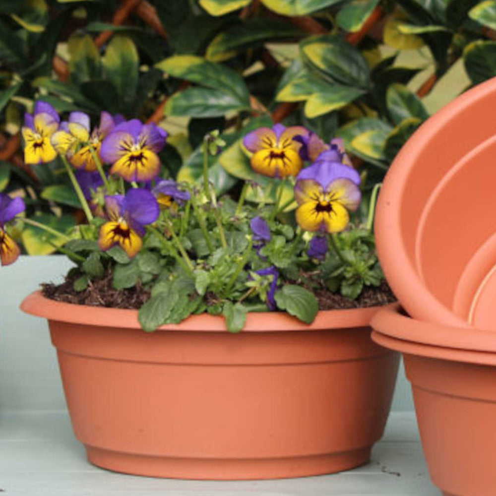 Terracotta Toscana Dish Set Of 3 Ideal For Bulbs Or Bedding