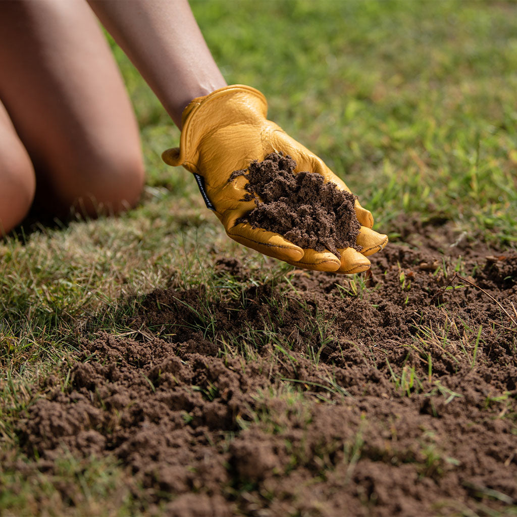 Lawn And Turf Dressing Top Dressing For Lawn Repair | 25l