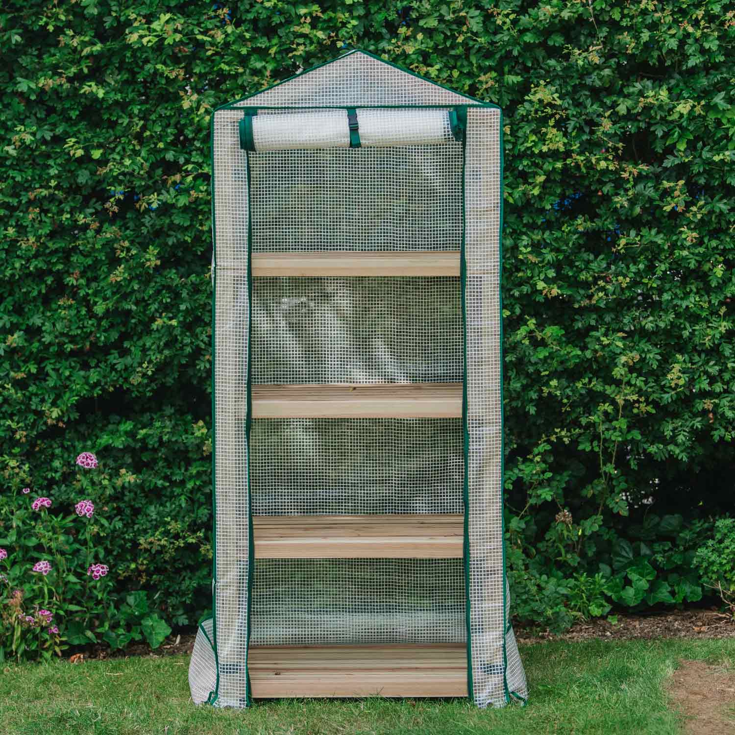 Premium 4-tier Wooden Growhouse 160cm | Green