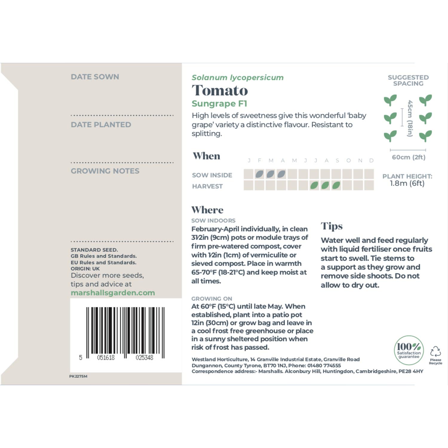 Sungrape F1 Cherry Tomato Seeds | 6 Seeds