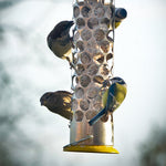 Extra Goodness Nugget Feeder Stainless Steel Squirrel-resistant | Yellow