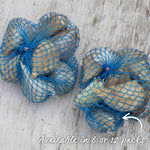 Elephant Garlic - Spring Planting, Mild Large Cloves | Set of 3 | Multi