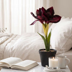 Faux Amaryllis In Pot, 36cm | Red