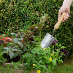 Stainless Steel Hand Trowel With Ash Wood Handle