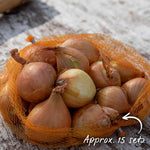 Golden Gourmet Shallot Sets | Set of 15