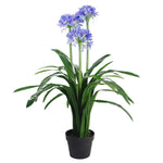 Artificial 90cm Premium Agapanthus With Pot Blue