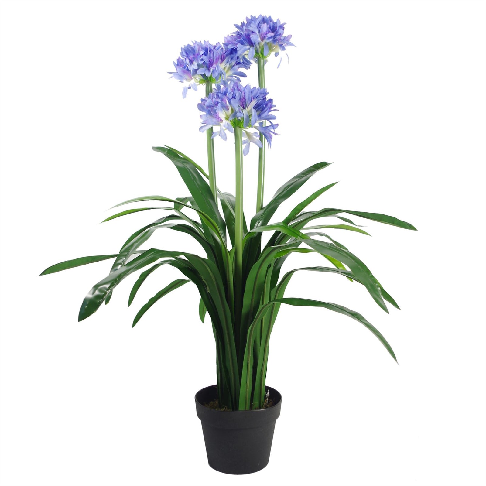 Artificial 90cm Premium Agapanthus With Pot Blue