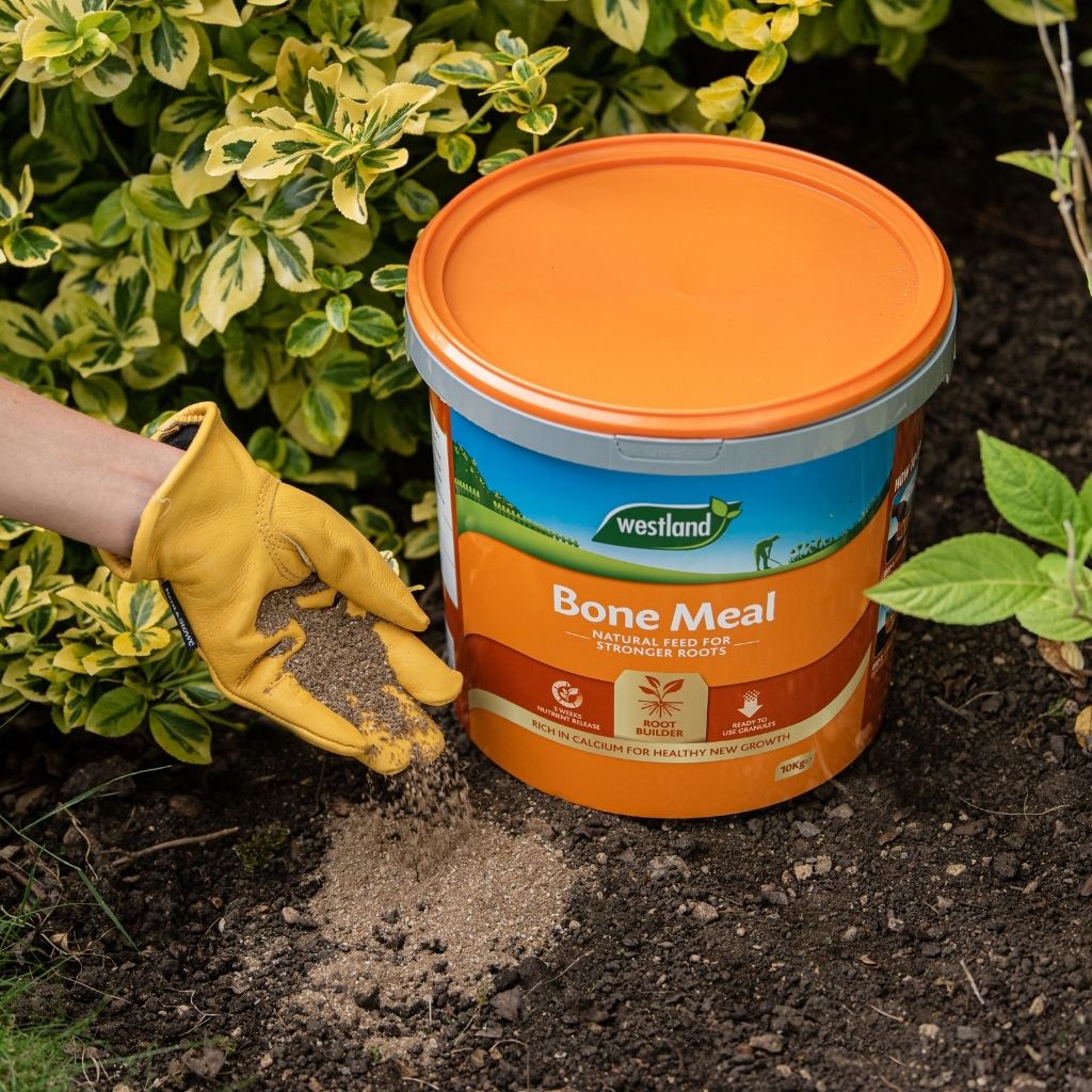 Bone Meal Fertilizer - High Phosphorus Npk 4:20:0 Ready To Use | 12kg