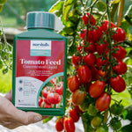 Liquid Tomato Feed | 1L