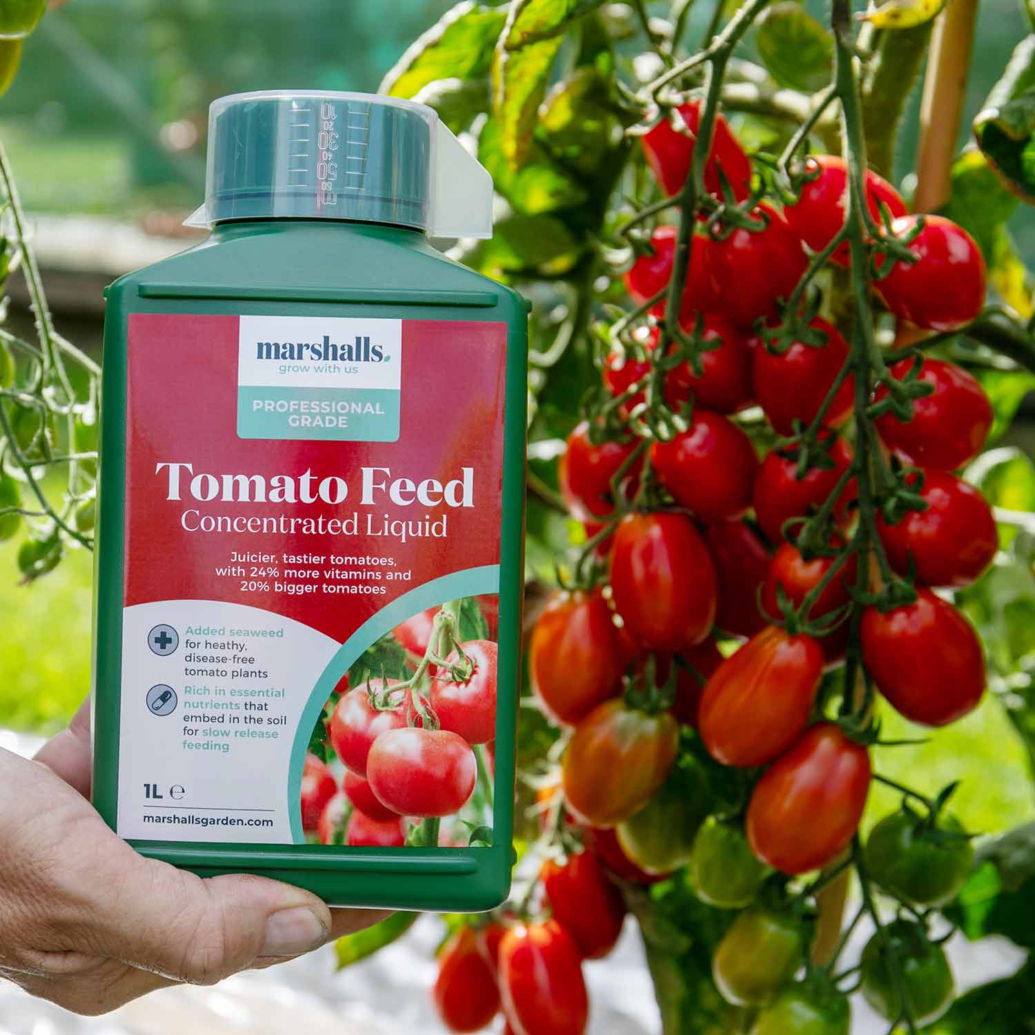 Liquid Tomato Feed | 1L
