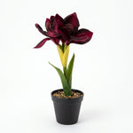 Faux Amaryllis In Pot, 36cm | Red