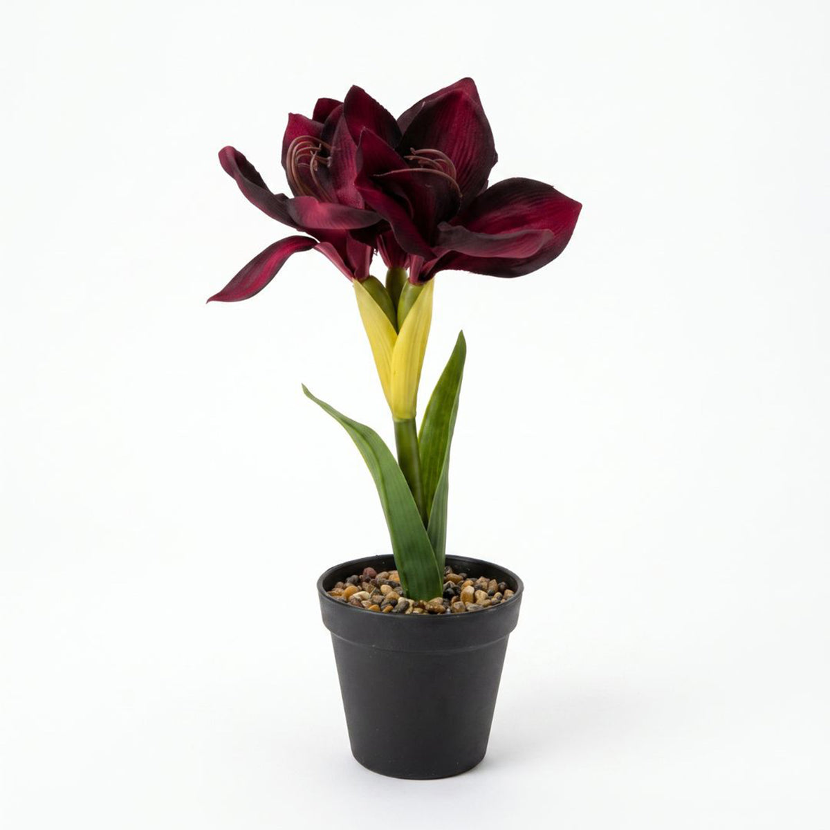 Faux Amaryllis In Pot, 36cm | Red