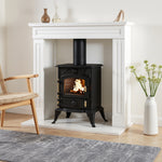 Freestanding Cast Iron Wood Burning Stove Fireplace Heater