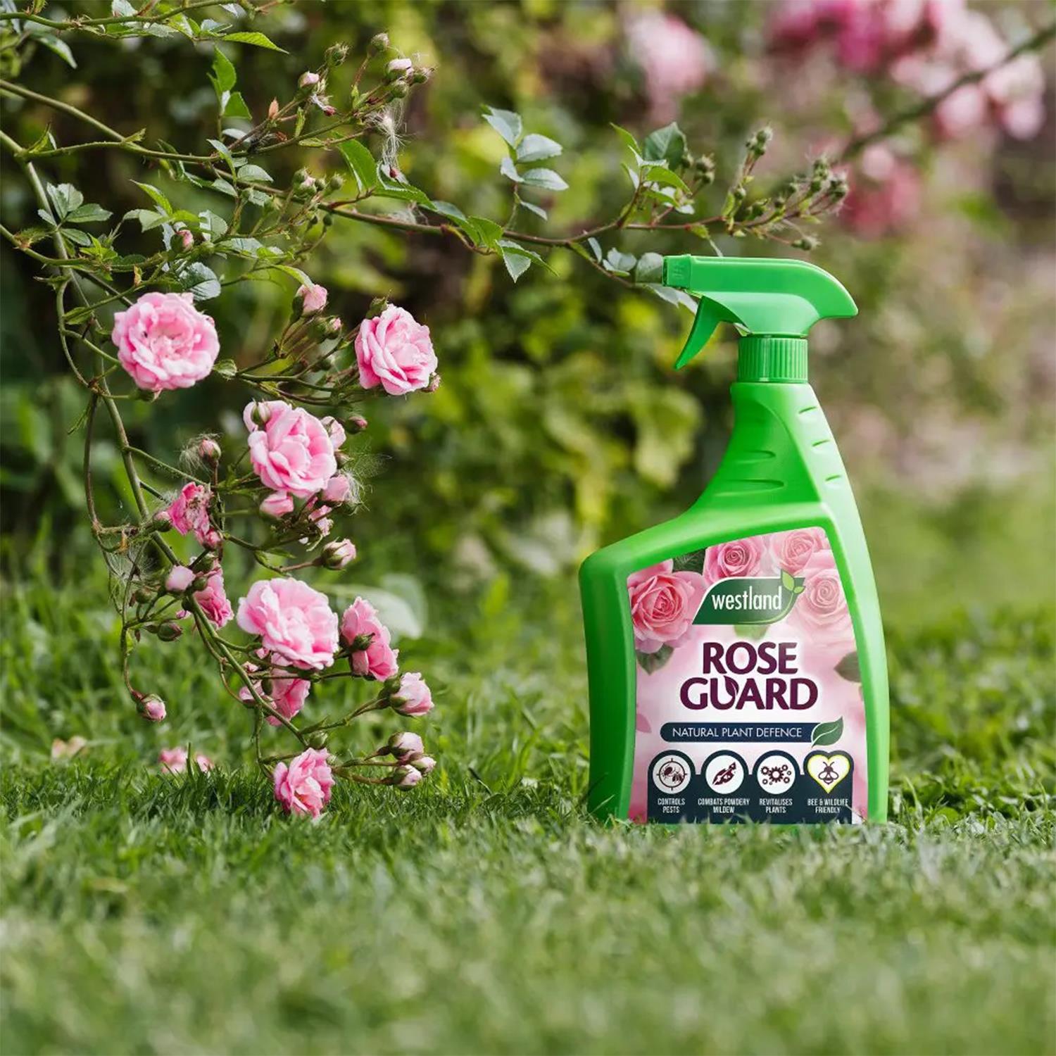 Rose Guard Rtu Improves Leaf Health And Colour, 800ml