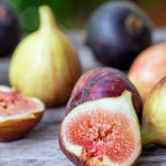 Ficus Brown Turkey - Common Fig - 1 x 9cm Pot
