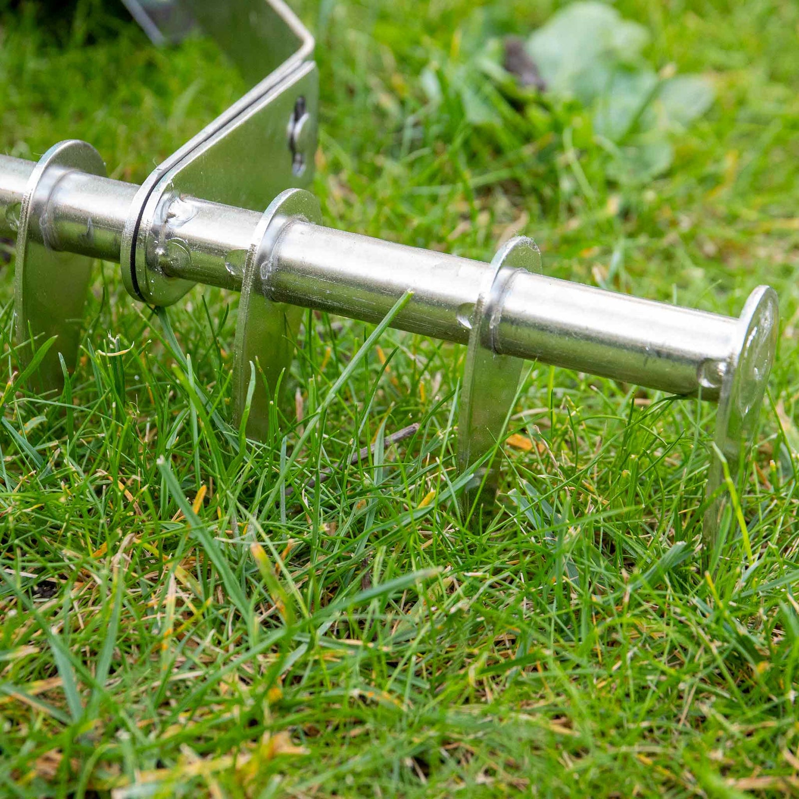 Stainless Steel Scarifying Rake Ash Handle 10 Tines 15-year Guarantee