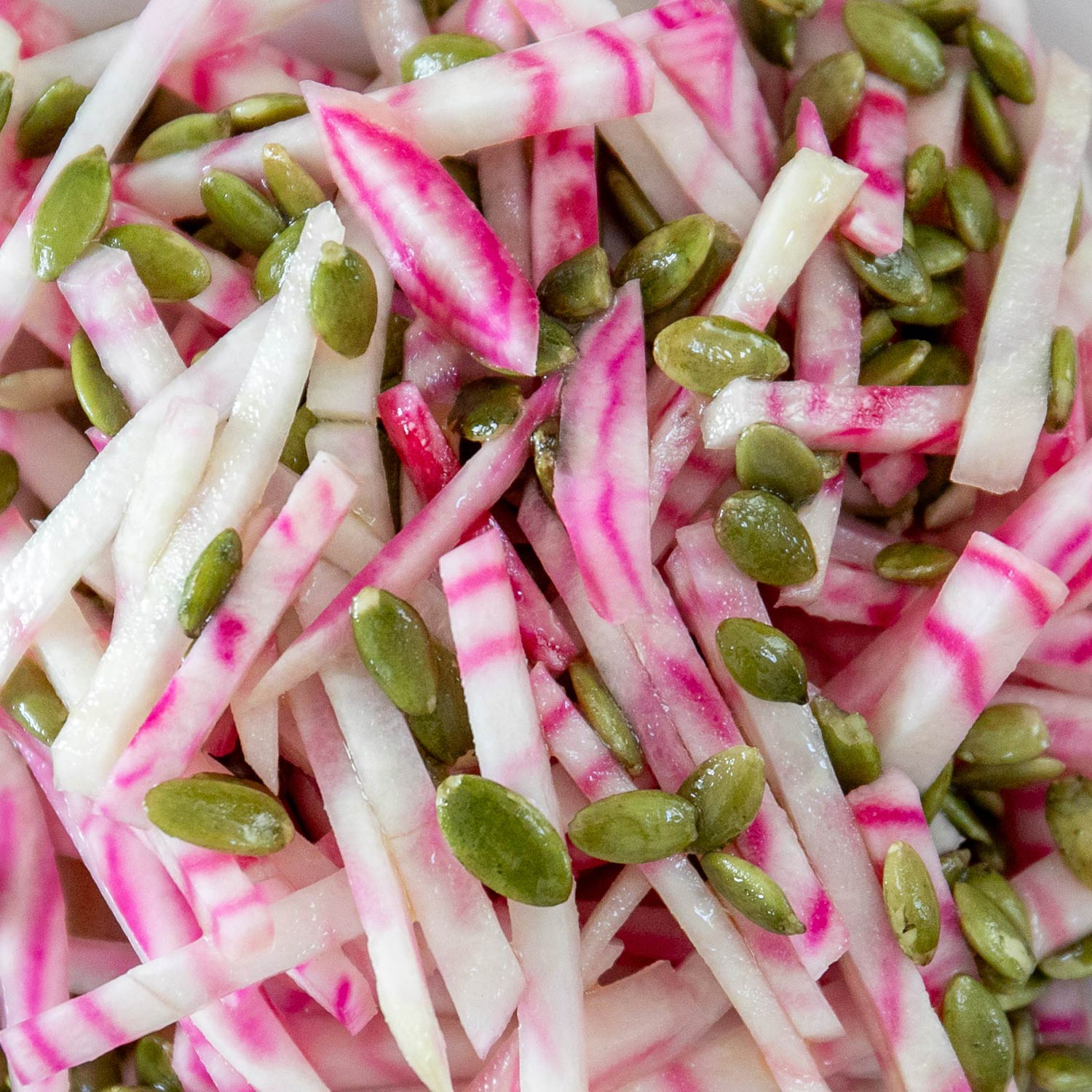 Beetroot 'chioggia' F1 Hybrid Seedlings | 12 x Pro Grower Plugs | White