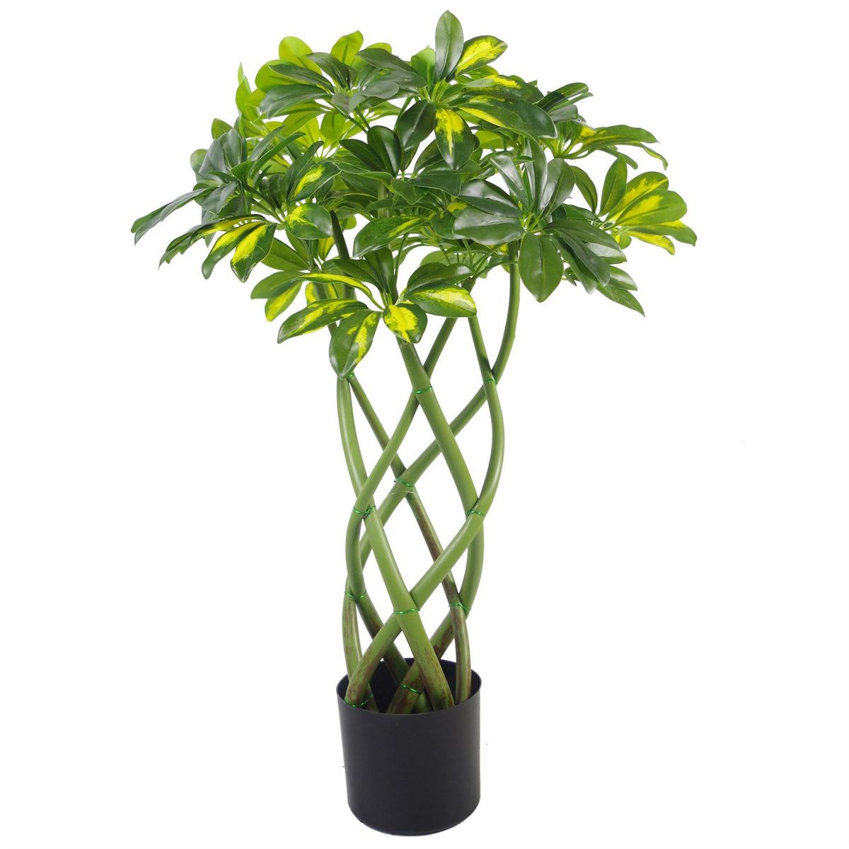 70cm Twisted Stem Gold Capella Arboricola Artificial Plant Bonsai Bush