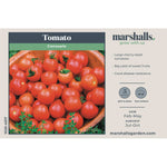 Tomato Consuelo, Blight-resistant Cherry Variety Seeds | 15 Seeds
