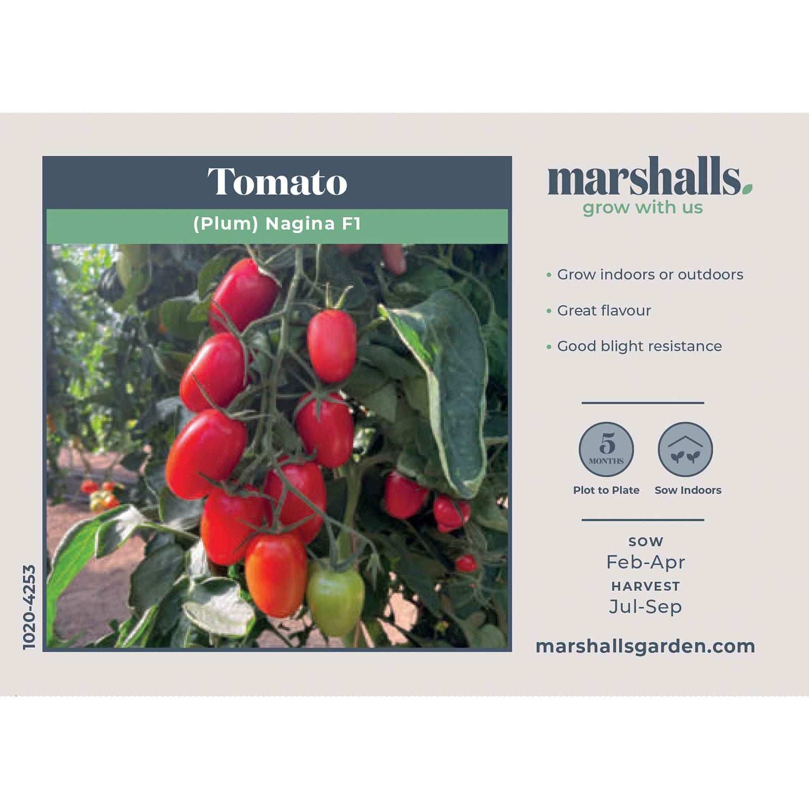 Plum Nagina F1 Tomato Seeds | 12 Seeds