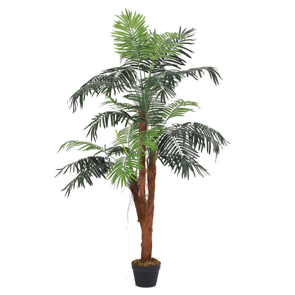 150cm H Artificial Windmill Palm Decorative Plant In Planter