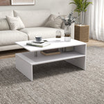 Modern Coffee Table With Open Shelf