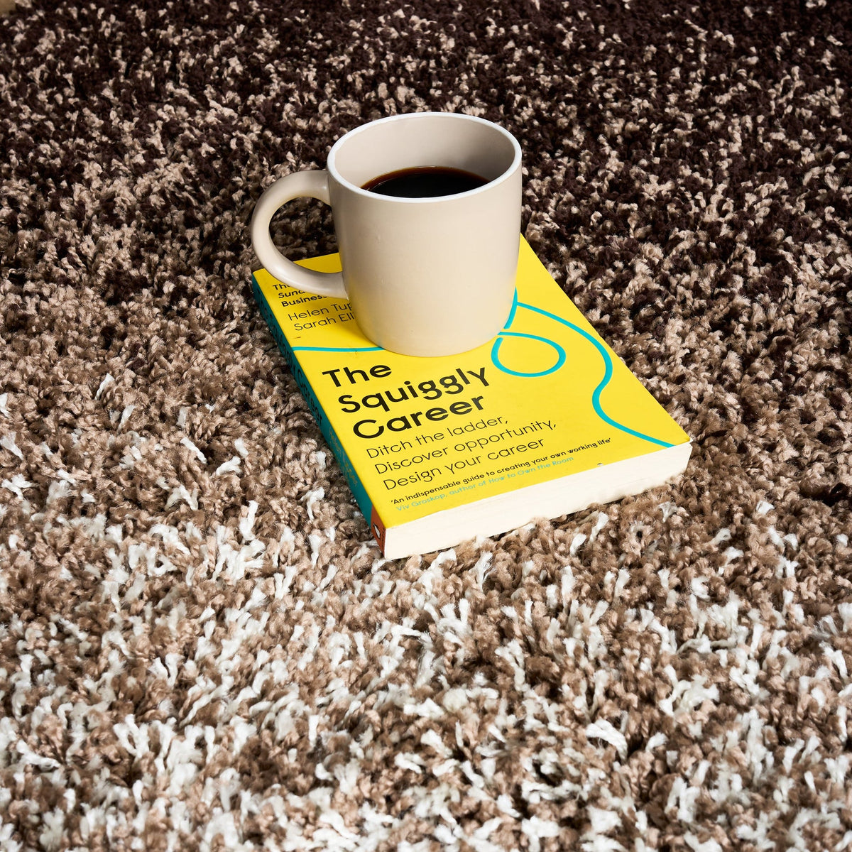 Blended Thick Shaggy Fluffy Deep Pile Living Room Rug | 60cm x 110cm | Brown