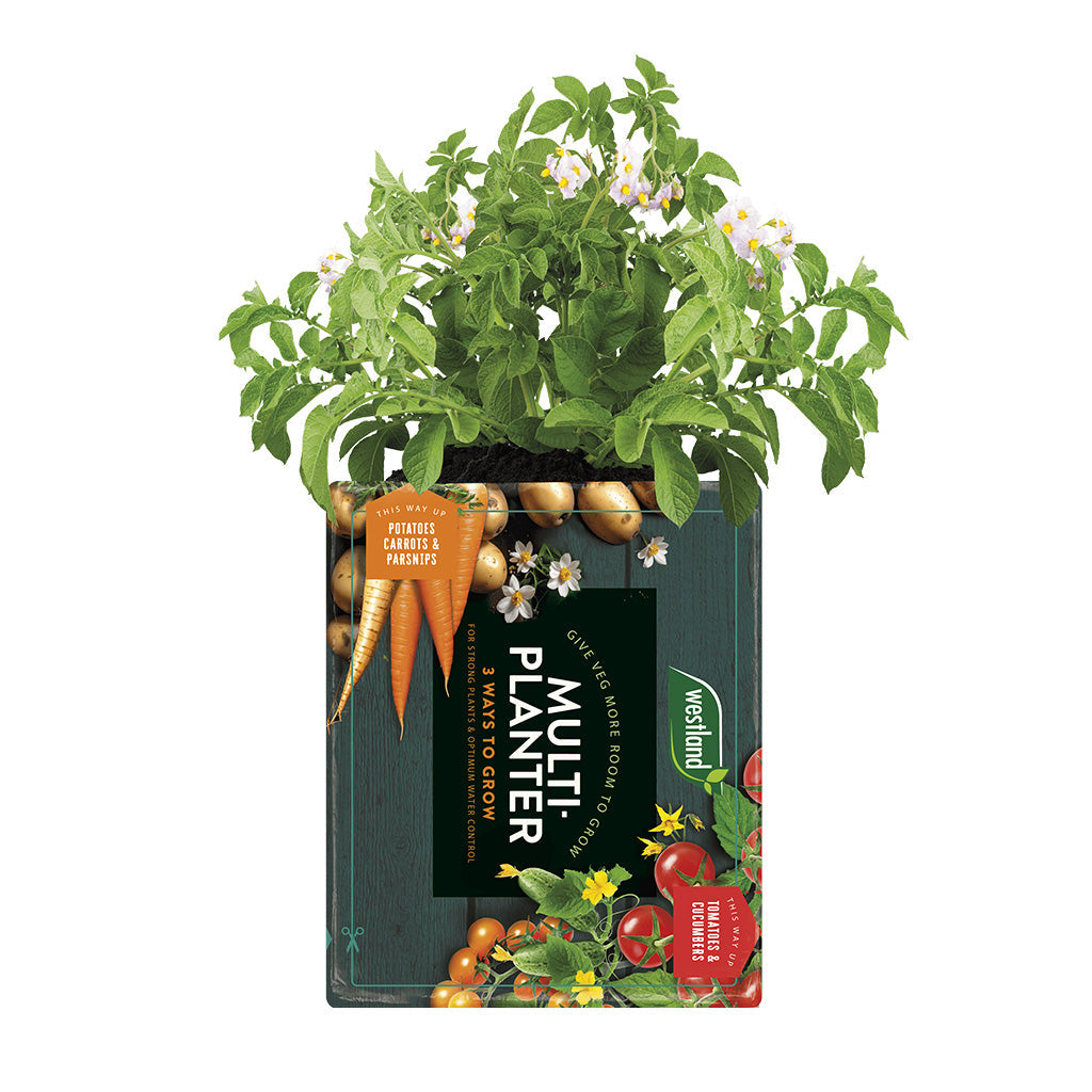 Multi-Planter Peat-free Grow Bag | 40l