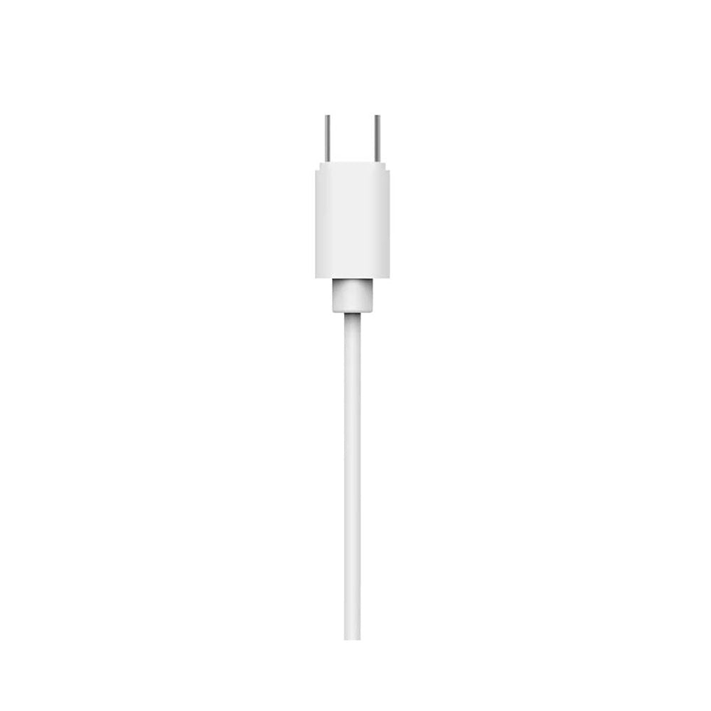 Tae2146 Usb-c In-ear Wired Headphones | White