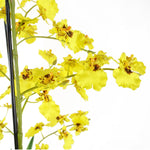 Artificial Orchid Yellow In Stoneware Planter Botanik