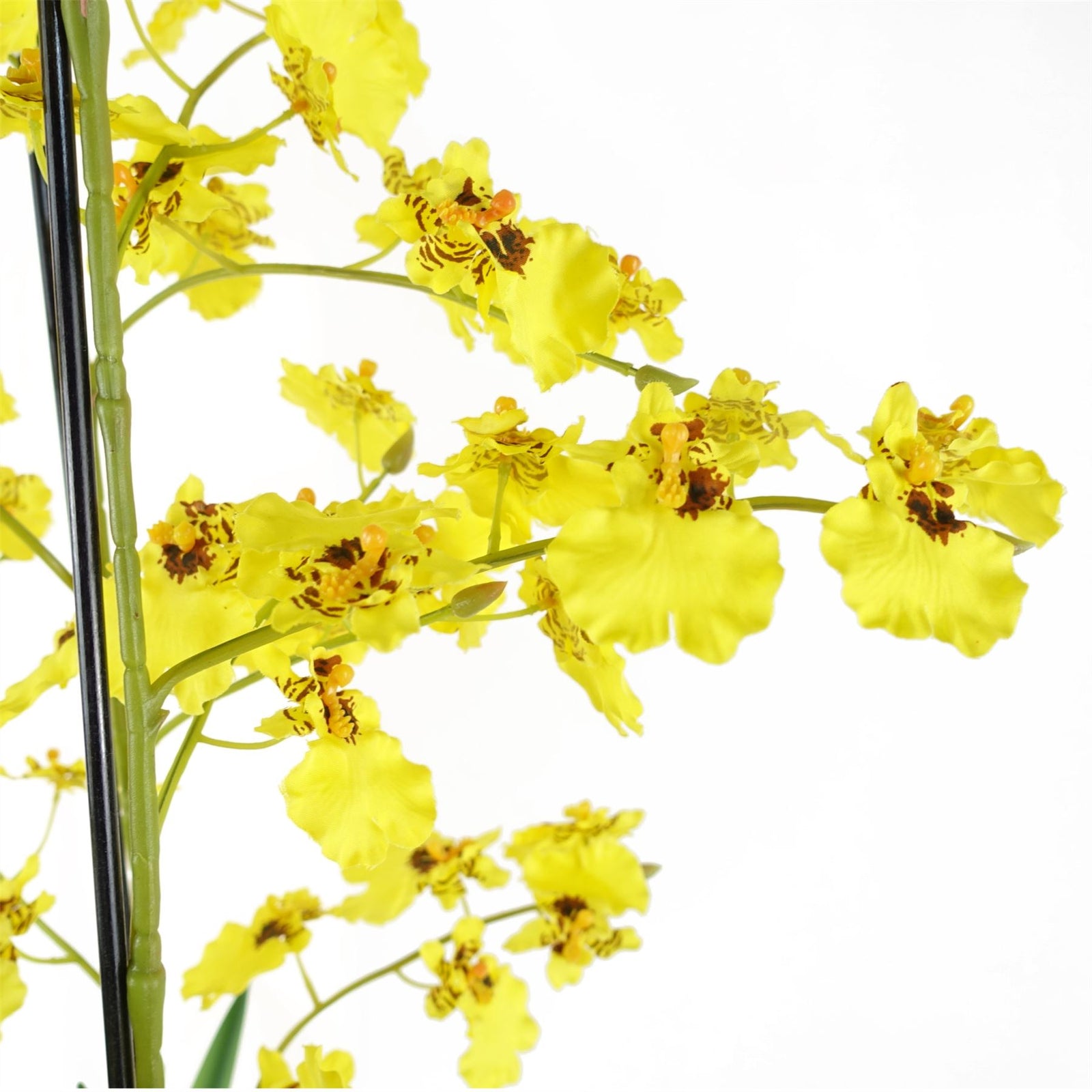 Artificial Orchid Yellow In Stoneware Planter Botanik