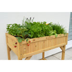 Raised Wooden Planter Herb Garden | Natural