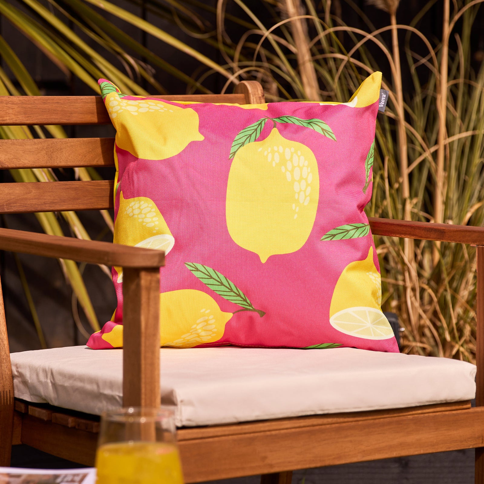 Fruit Print Set Of 2 Outdoor Cushion