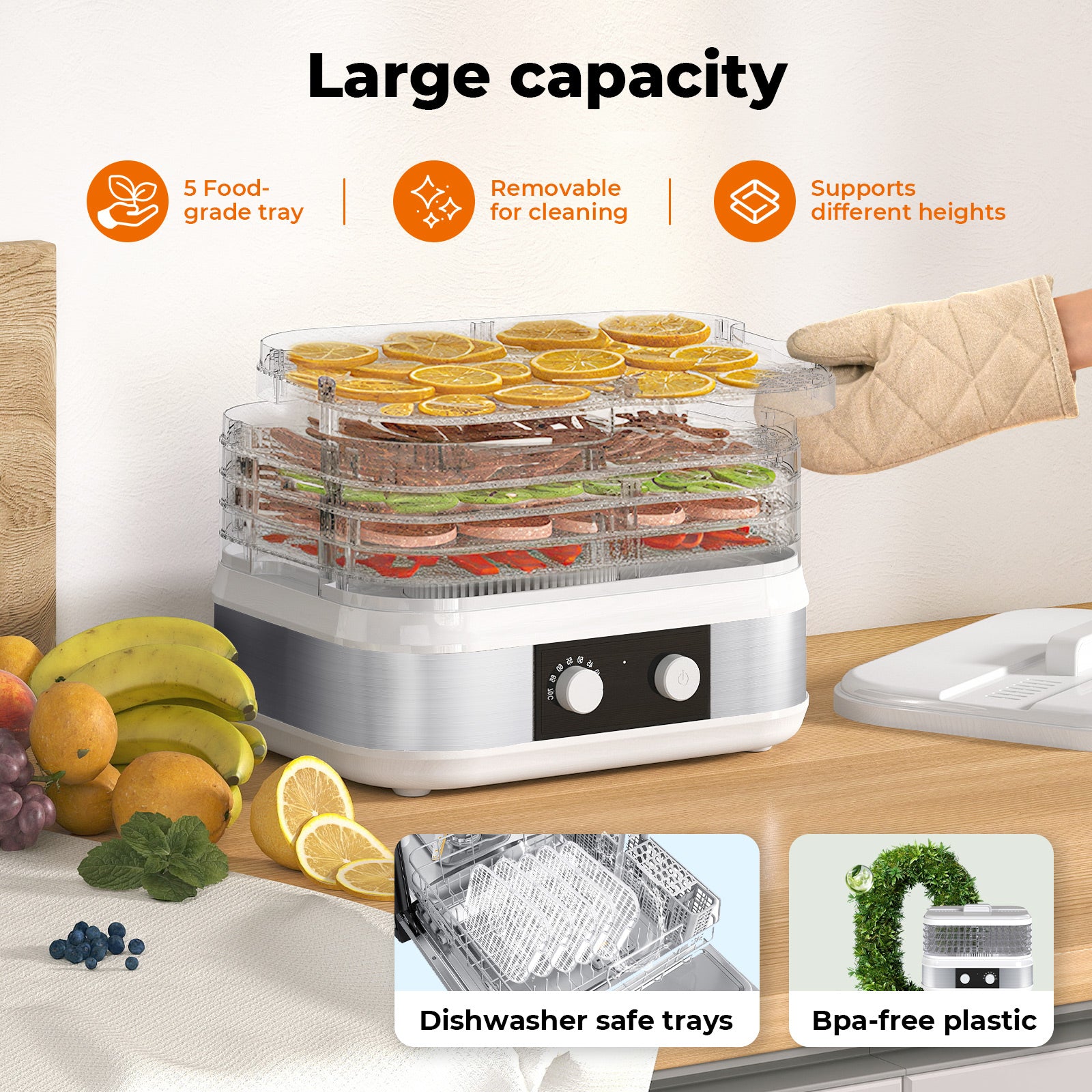Spector 5 Tray Stainless Steel Food Dehydrator Jerky Fruit Vegetable Dryer White