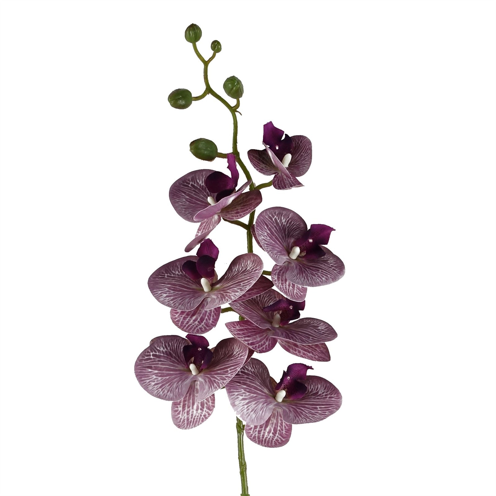 Pack Of 6 X 100cm Artificial Phalaenopsis Orchid Purple Stem - 42 Flowers