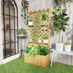 Wooden Raised Planter With Trellis & 2 Shelves