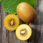 Golden Kiwi Plant (actinidia Chinensis) | 1 x 2L | Gold