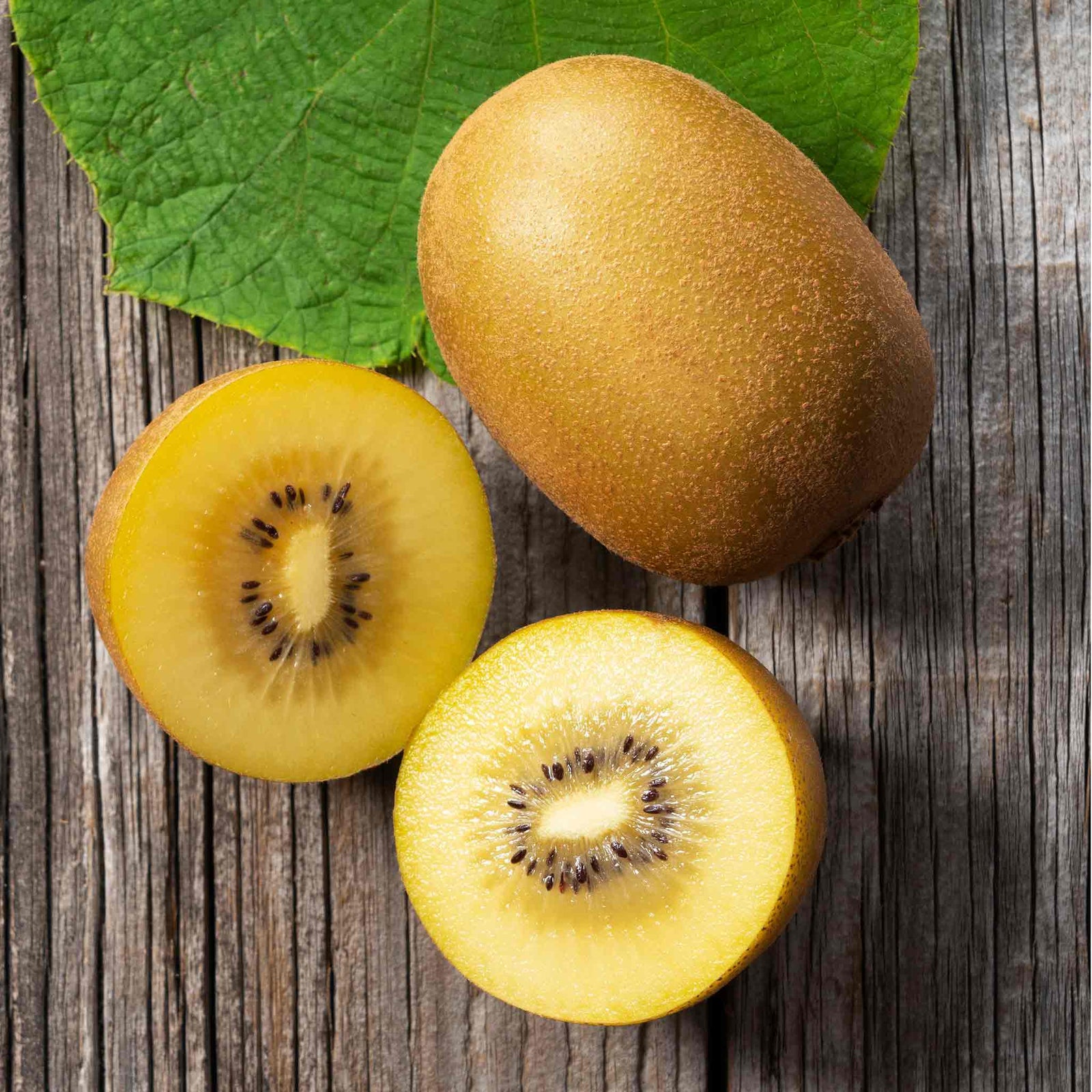 Golden Kiwi Plant (actinidia Chinensis) | 1 x 2L | Gold