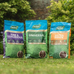 Professional Lawn Seed For All Soil Type 9kg | 9kg