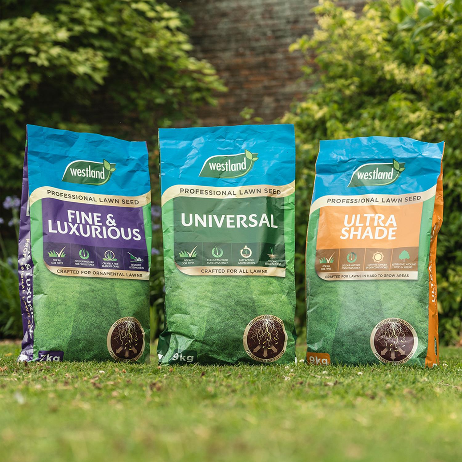 Professional Lawn Seed For All Soil Type 9kg | 9kg
