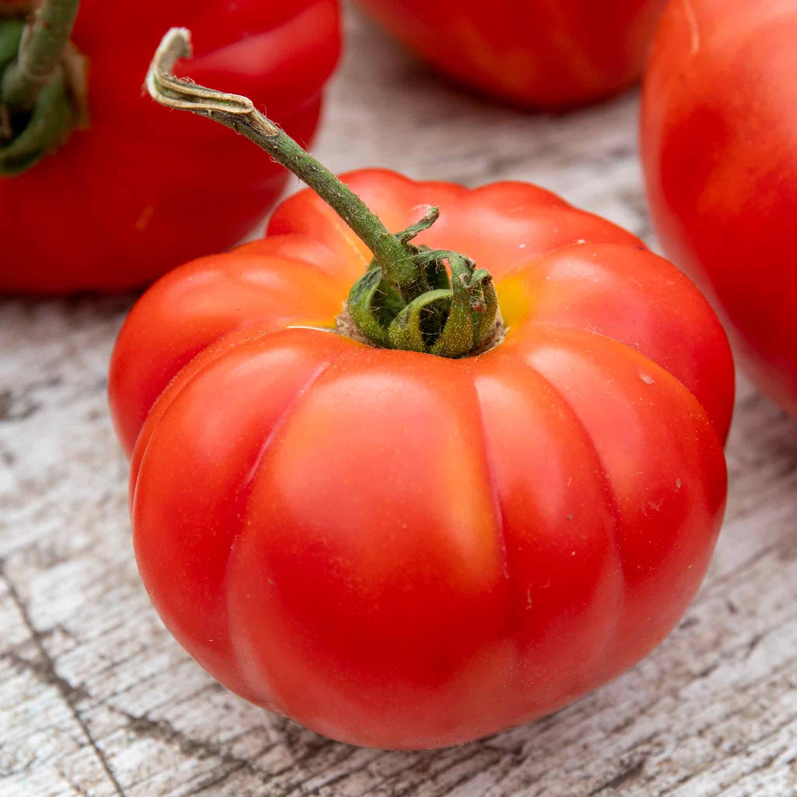 Tomato 'buffalo Steak' Seeds | 10 Seeds