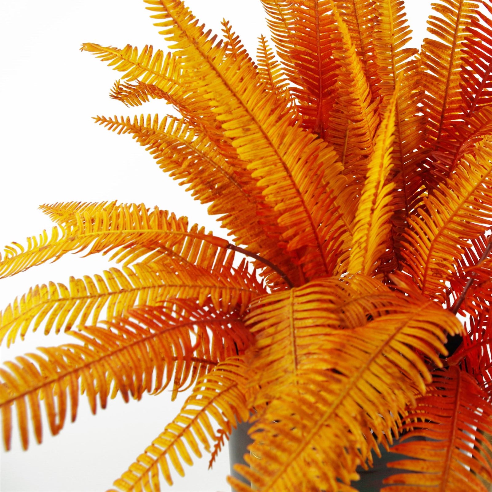 6 X 55cm Artificial Autumn Fern Bush Plant