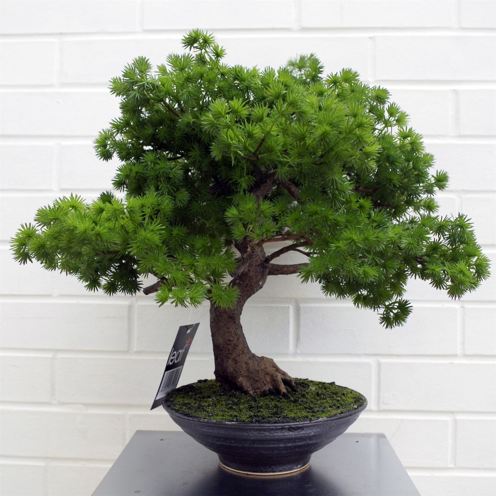 Artificial 50cm Luxury Pine Bonsai Tree