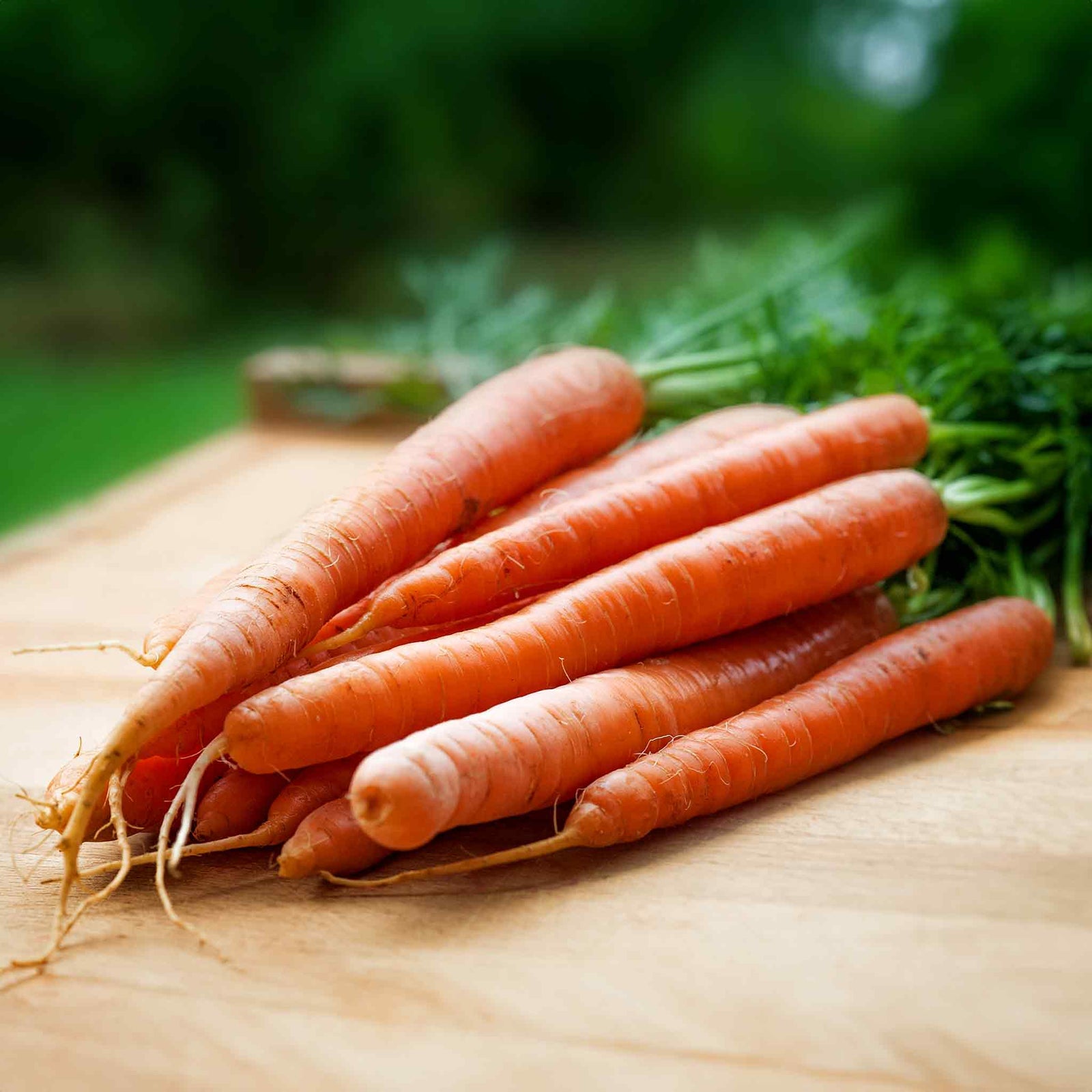 Ibiza Carrot | 500 Seeds