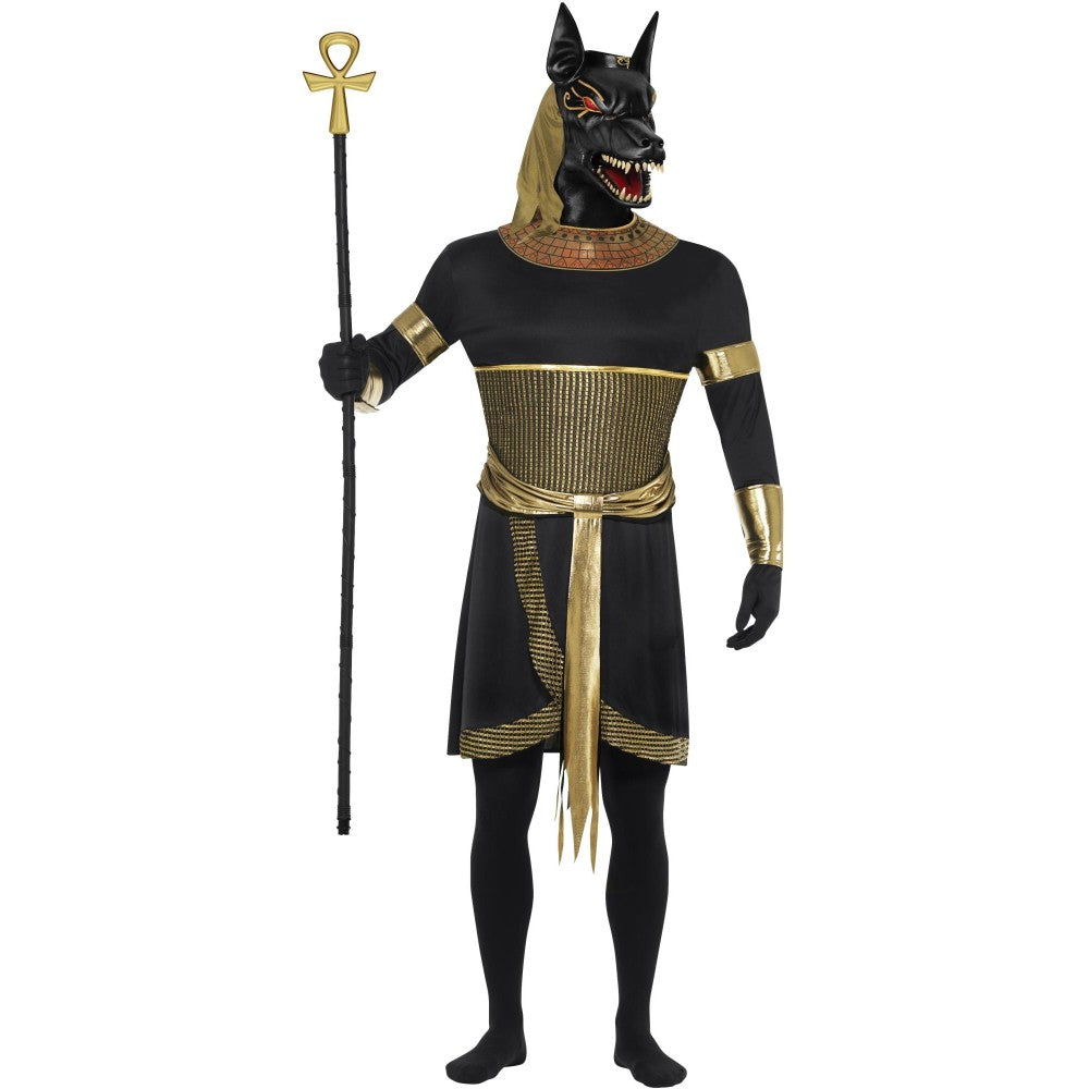Anubis The Jackal | Medium