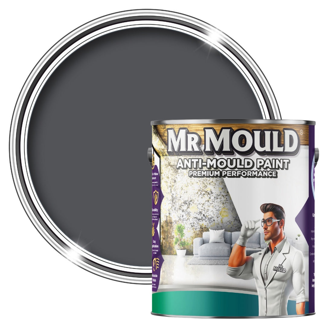 Anti-mould Paint - Premium Colour & Protection For Interior Walls & Ceilings | 1L | Classic Grey