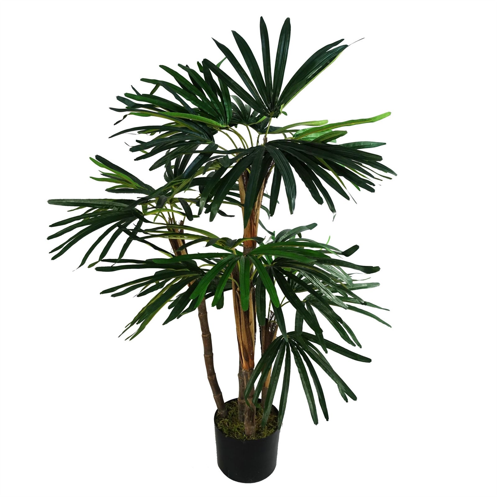 Artificial 100cm Raphis Palm Tree