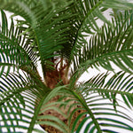 Large Artificial Palm Tree 60cm Cycas Plant Uk